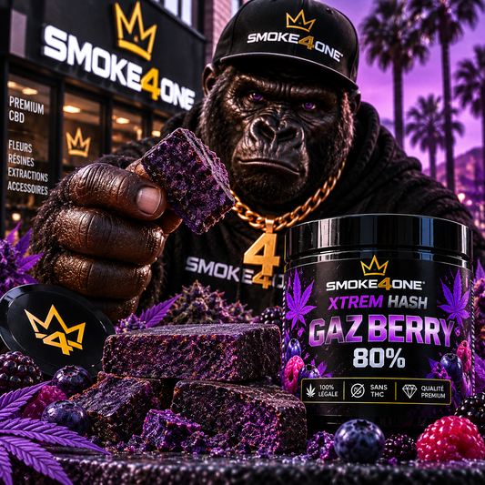 251 XTREM HASH CALI PLATE GAZ BERRY 80%