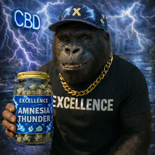 #120 EXCELLENCE - AMNESIA THUNDER