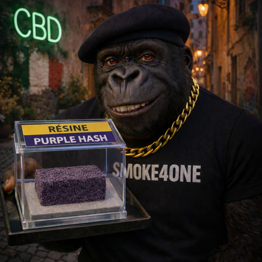 #149 RÉSINE - PURPLE HASH