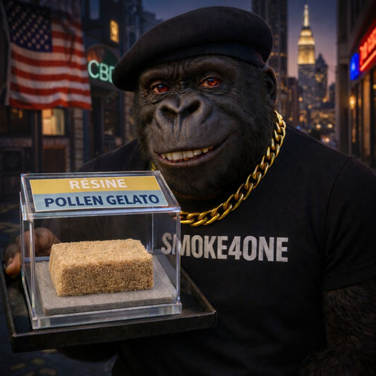 #162 RÉSINE - POLLEN GELATO