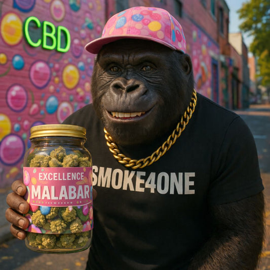 #175 EXCELLENCE - MALABAR