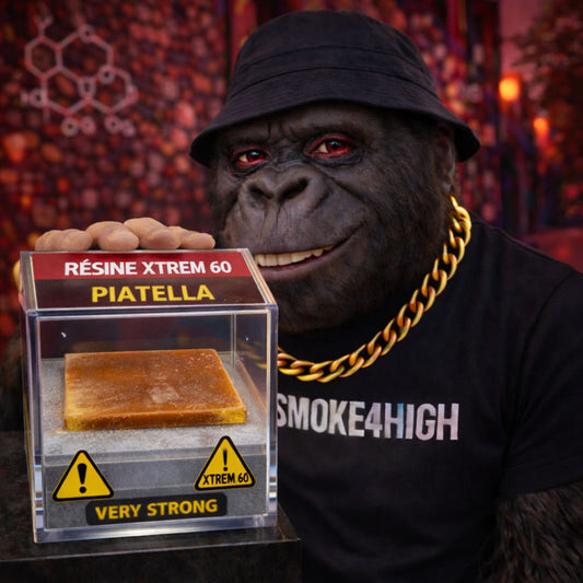 #176 RÉSINE XTREM 60 - PIATELLA