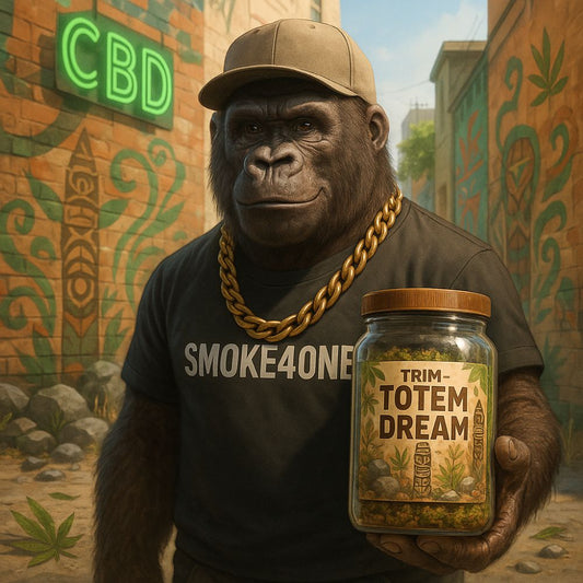 #5 TRIM - TOTEM DREAM